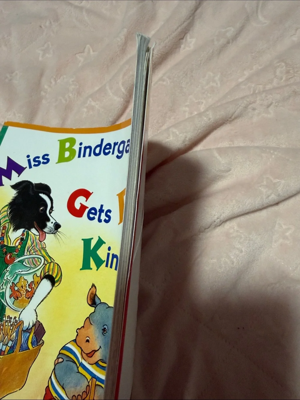 Miss Bindergarten Gets Ready for Kindergarten - Colorful Kids Book